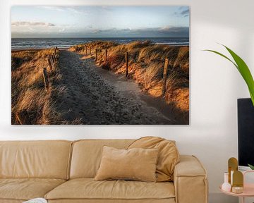 Duin, strand en zee aan de Hollandse kust van Dirk van Egmond