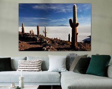 Hundred-year-old cacti dominating the Salar d'Uyuni by Frank Photos