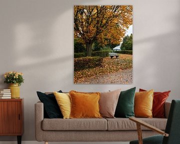 Autumn beauty in Limburg: A Moment of Rest and Colour