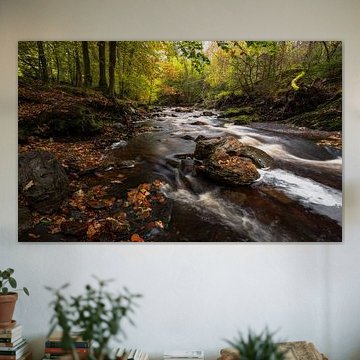 Automne enchanteur au bord de la rivière : Ardennes belges