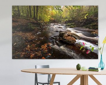 Bezaubernder Herbst am Fluss: Belgische Ardennen von Hevonax Photography
