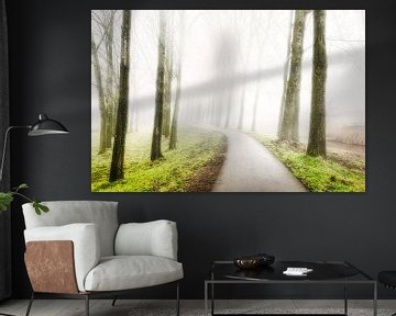 mist in Etten-Leur 2025 van Egon Zitter