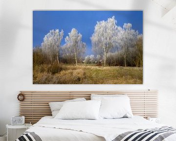Briken bedekt met rijp van ManfredFotos