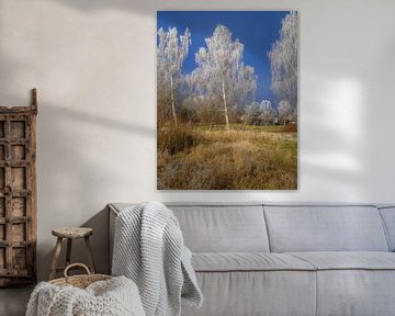 Briken bedekt met rijp van ManfredFotos
