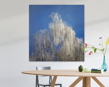Briken bedekt met rijp van ManfredFotos