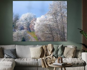 Winterlandschap met bomen bedekt met vorst van ManfredFotos
