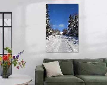 A country road in winter