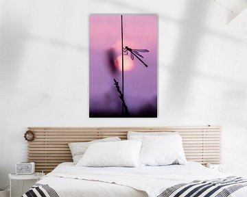 Schoonheid bij zonsondergang van Hennie Zeij
