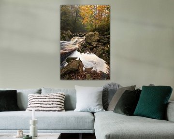 Adembenemende Waterval in de Belgische Ardennen: Herfstlandschap van Hevonax Photography