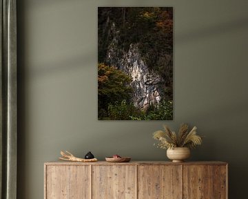 Rock Wall in the Belgian Ardennes: A Powerful Interplay of Nature and Texture by Hevonax Photography