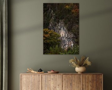 Rotswand in de Belgische Ardennen: Een Krachtig Samenspel van Natuur en Textuur van Hevonax Photography