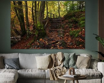 Recovery hike in the Belgian Ardennes: An enchanting natural spectacle by Hevonax Photography