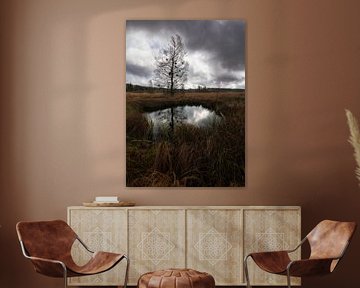 Serene bog pond in the Belgian Ardennes: A Moment of Reflection by Hevonax Photography