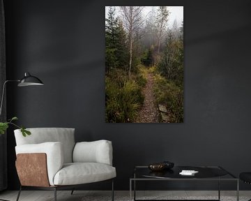 Mystieke Boswandeling in de Belgische Ardennen van Hevonax Photography