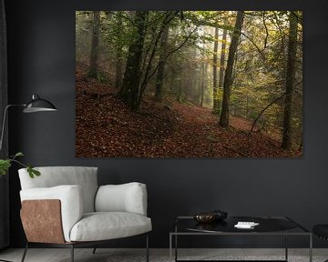 Sfeervolle Herfstwandeling: Betoverend Boslandschap van Hevonax Photography