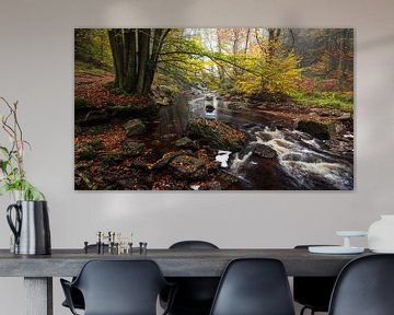 Herfstharmonie: Een Betoverende Bosbeek van Hevonax Photography