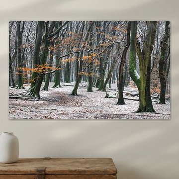 Repos hivernal dans la forêt de hêtres : une scène de conte de fées