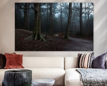 Mystischer Waldspaziergang: Ein Moment der Stille im Nebel von Hevonax Photography