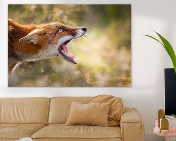 Freaky Fox by Pim Leijen