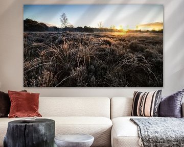 Zonsopkomst op de Winterse Heide: Een Moment van Pure Magie