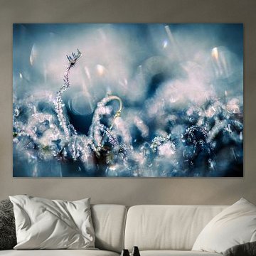 mousse abstraite colorée