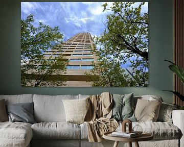 Torenflat New Orleans in Rotterdam