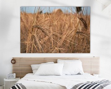 Eindeloze zomer – Goudkleurig graan in detail by Atelier Nadine