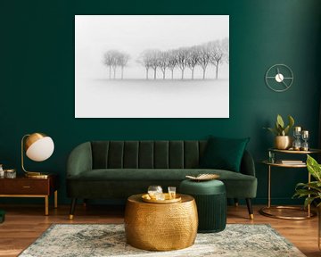 Brouillard le matin.