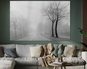 Brouillard un jour d'hiver.