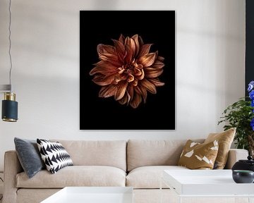 Close-up van oranje dahlia van Adje Photography
