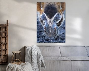 Bürste Wildschwein