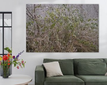 Rijkdom in rijp van Stobbe; natuurfotografie