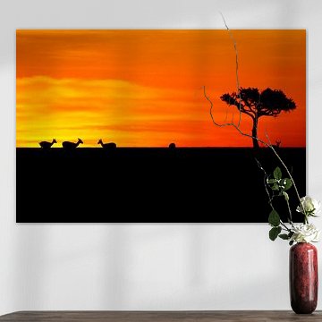 Grant Gazelle in African Sunset