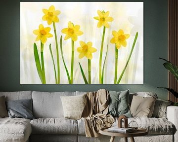 Daffodils
