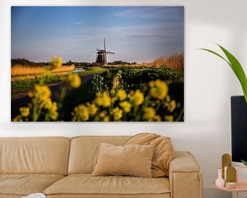 The Dutch mill by Eus Driessen