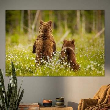 Wat is daar aan de hand?