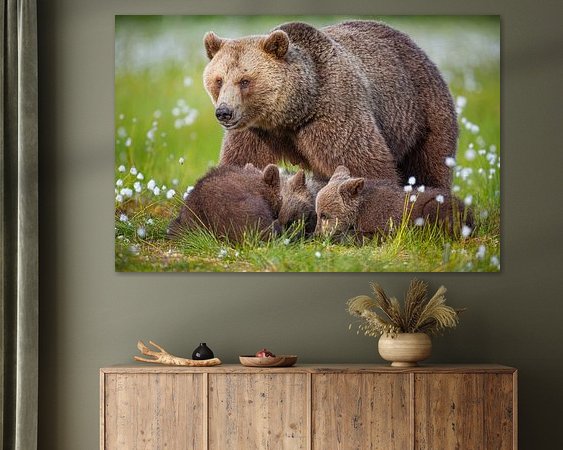 Aperçu de la chambre