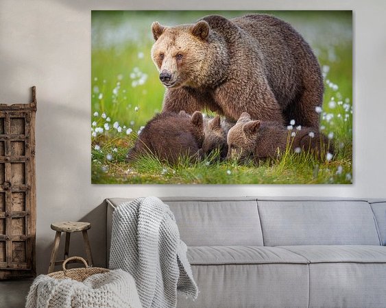 Aperçu de la chambre