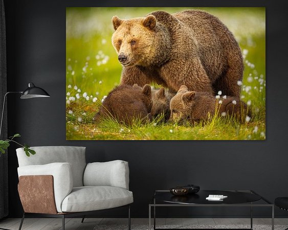 Aperçu de la chambre