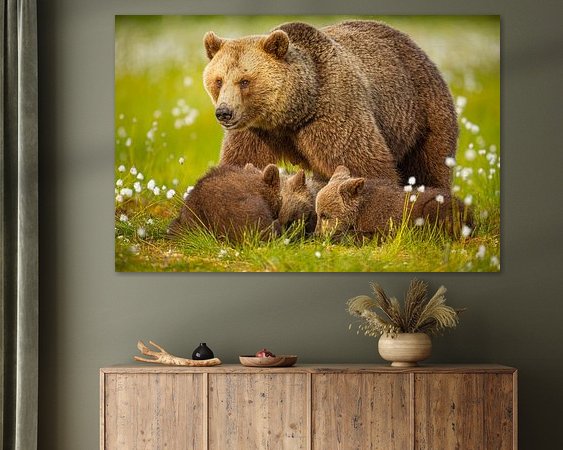 Aperçu de la chambre