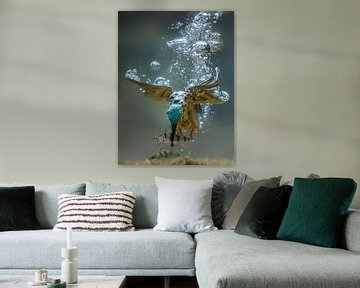 Duikende ijsvogel (onder water)