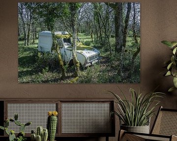Renault4 in the forest