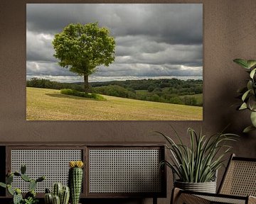 Arbre sur la colline sur Liesbet den Daas