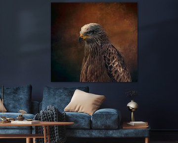 Red Kite