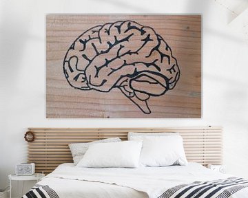 Brain (1/3)