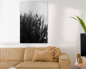 Wildflowers - zwart-wit serie van Elise van Gils
