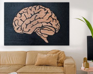 Brain (1/3)