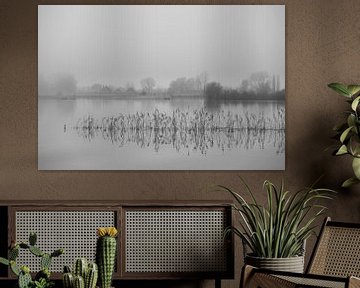 Reflectie in een mistige IJssel van Elisabeth