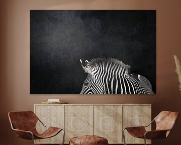 Striped Grace Zebra against a Dark Background by Femke Ketelaar