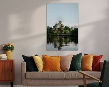 Reisfotografie “Palmboom” | Costa Rica |  Midden Amerika | Monteverde | groen | Bergen | Fotografie | Foto Print | Art Print van Estelle Bijker Fotografie